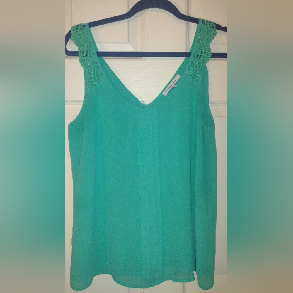Short sleeve teal Naked Zebra blouse